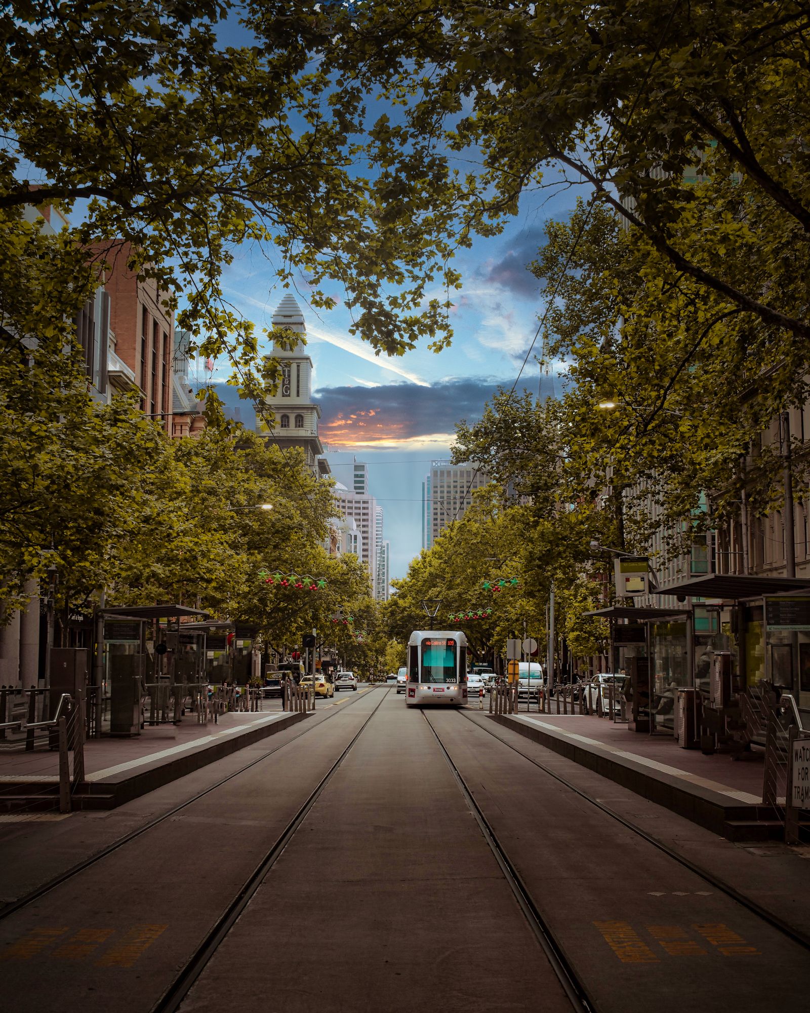 A Melbourne street with a tram and pedestrians on a tree-lined boulevard